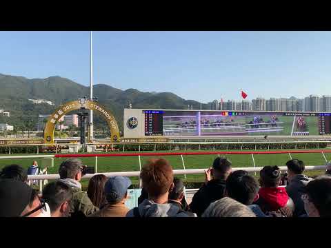 Steward Cup Live @ Shatin Racecourse