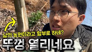 나무 220주 팔았더니 글쎄, 농원을 작살내놨습니다