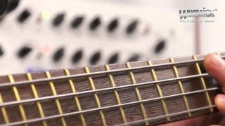 Video thumbnail for Warwick LWA 1000 by Ove Bosch