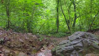 Download lagu Relaxing Stream Sounds, Melody of the Forest, Birds Chirping, sleep, meditate, ASMR, No AI mp3 Download lagu Relaxing Stream Sounds, Melody of the Forest, Birds Chirping, sleep, meditate, ASMR, No AI mp3