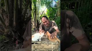 Download lagu nanti kamu pergi tak totok lho #shorts #trending #subscribe #comedy #funny mp3 Download lagu nanti kamu pergi tak totok lho #shorts #trending #subscribe #comedy #funny mp3