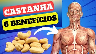 CASTANHAS: Aliadas na Busca Pelo PESO IDEAL e PELA SAÚDE: 6 BENEFÍCIOS REVELADORES