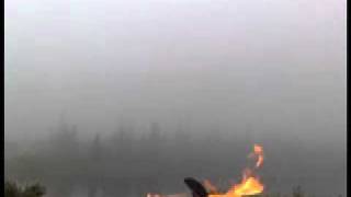 Adyashanti - Suffering is just meaning we are draging our feet