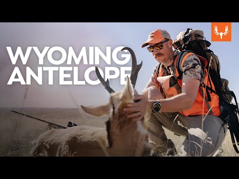 Wyoming Antelope with Ryan Callaghan | Cal in the Field