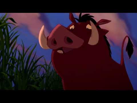 Animal Story Part 7: Who Will Spike Pick?/ A Chicken Accused