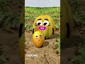 Goodland Mango From Melon Doodles Animation Cartoon GOODLAND