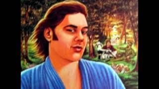 Lowell George   What Do You Want The Girl To Do with Lyrics in Description