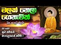 Malak Nela Genawith Budu Saduta Piduwa මලක් නෙලා ගෙනැවිත් ළමා 