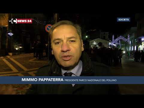 Un albero bruciato per il Natale