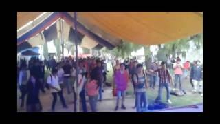 SADIK a.k.a PIRANHA @PsychedelicVisions.