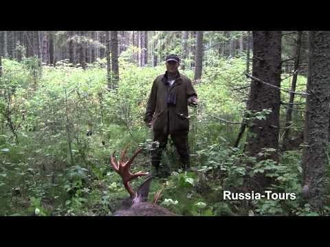 Elchjagd in Udmurtien / Russland 2013
