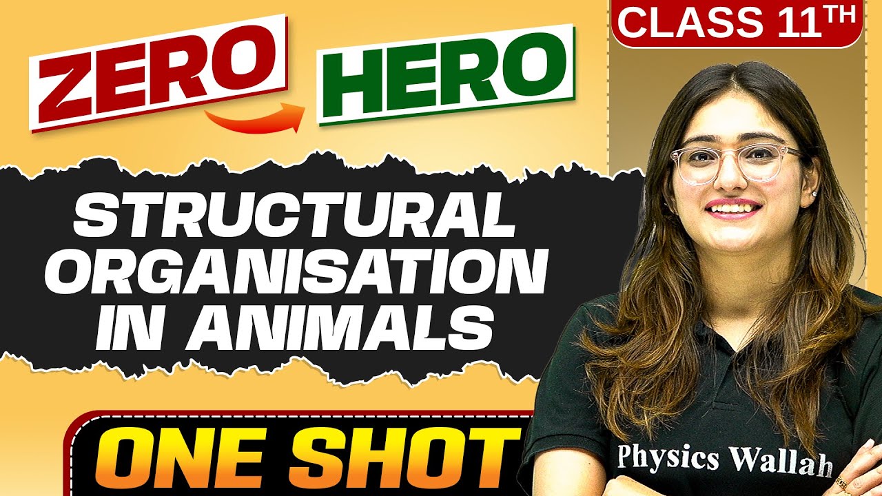 Structural Organisation in Animals | Full Chapter in ONE SHOT | Chapter 7 | Class 11 Biology 🔥