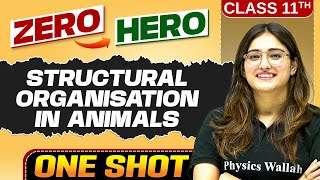 Structural Organisation in Animals | Full Chapter in ONE SHOT | Chapter 7 | Class 11 Biology 🔥
