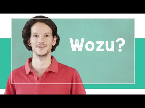 lingoni GERMAN (139) - wozu - B1