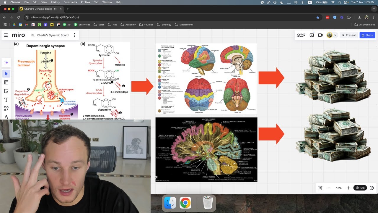 How I Got Rich Quick With Dopamine Detox