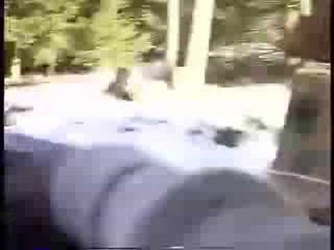 Hoosier Sweetheart -- A visit to Spiegle Willcox