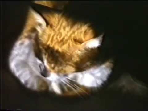 Impressions numériquement imprenables - Christiane Geoffroy / 1986