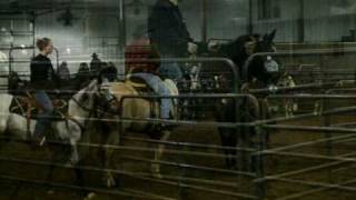 preview picture of video 'WRRSC Team Penning 12-26-08'