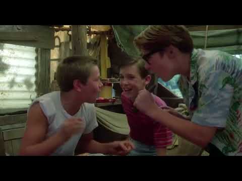 Dal film Stand by me - Ricordo di un'estate -  Scena iniziale.