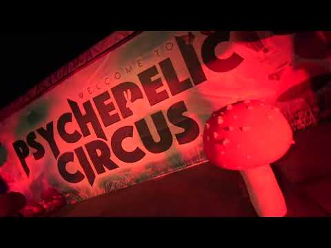 Outsiders @ Psychedelic Circus 2022 - Aftermovie 🎥