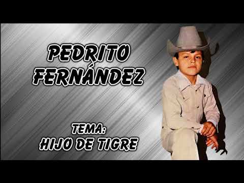 Pedrito Fernández - Hijo de Tigre