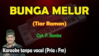 Download lagu Bunga melur karaoke melayu Tiar ramon mp3