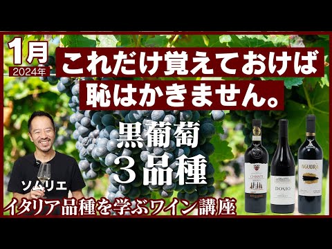 サン ビアージョ サラチニスコ