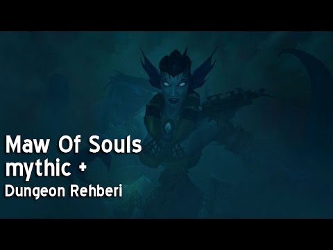 Maw Of Souls Dungeon Guide M+