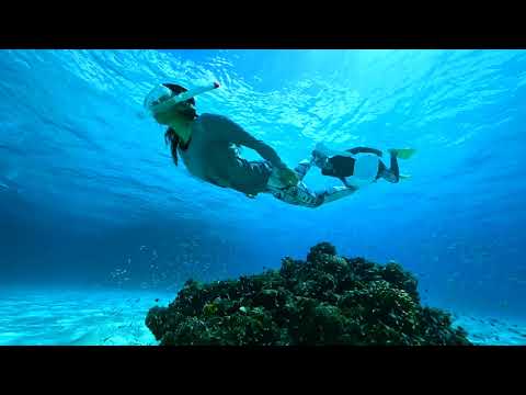 石垣島ドリーム観光_幻の島＋シュノーケリング＋竹富島
