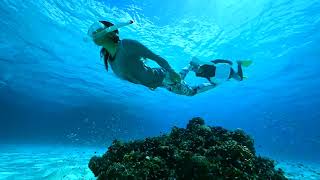 石垣島ドリーム観光