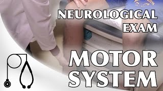 Motor System