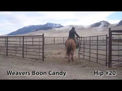 Weavers Boon Candy HIP #20