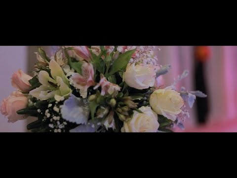 Highlight (Video) | XV | S