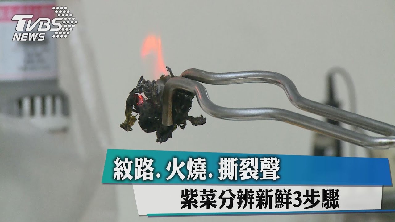 紋路火燒撕裂聲　紫菜分辨新鮮3步驟