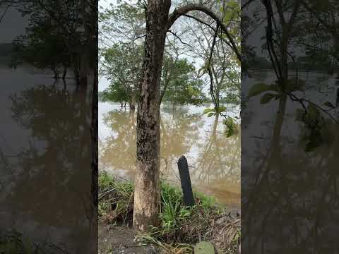 🌊 Así amanece la inundación en La Apartada, Córdoba | El agua a la orilla de la carretera