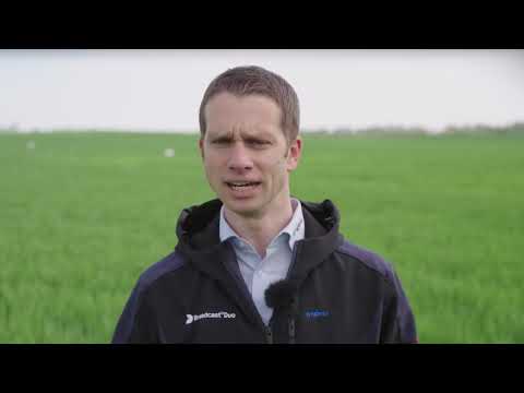 Wir leben Getreide Feld-Reporter | NW | J. Reinecke: Fahnenblattbehandlung und Schädlingskontrolle!