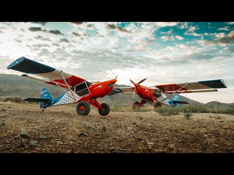 FreedomFox's for EVERYONE! RC FreedomFox is here!