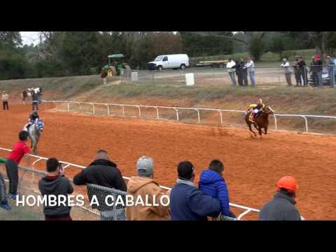 La Malquerida vs  El Jolino  2 5 17