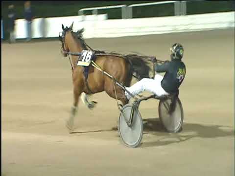 Trotto 10/12/2017 - 8ª corsa - TRIS