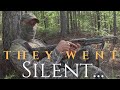 Chasing Ghosts Turkey Hunting When Gobblers Go Quiet