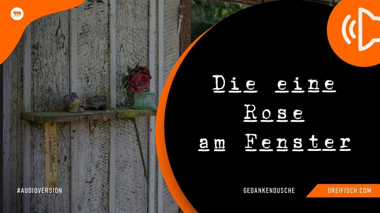 GEDANKENDUSCHE: Die eine Rose am Fenster (AUDIO)