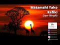 Matamshi yako rafiki by Super Wanyika,