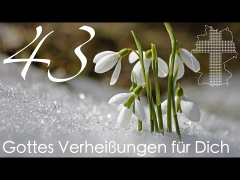 Gottes Verheißungen für Dich - 1. Johannes 1,9 | Videokalender 43/365 - Deutschland braucht JESUS