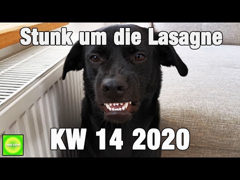 Vlog / KW 14 2020 / Stunk um die Lasange