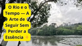 A força da suavidade