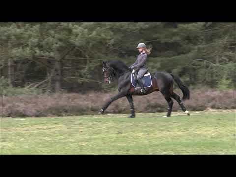 Birmingham - April 2020