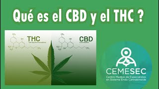 QUIEN PUEDE TOMAR CBD Y THC ??