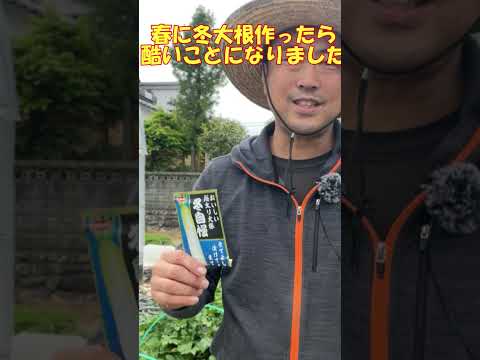 大根をポットに蒔く方法