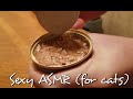 Sexy ASMR For Cats
