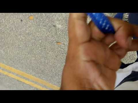 Xitsu - Eita bicho bravo.